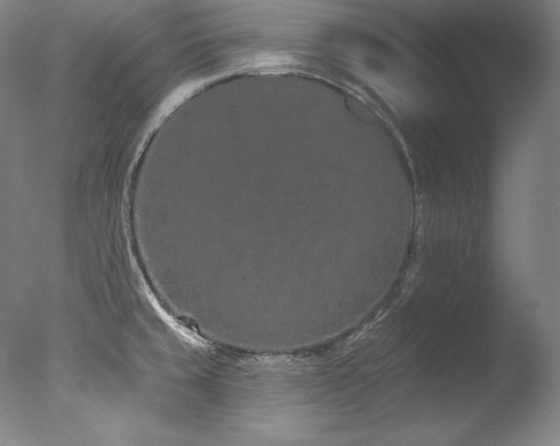 X0000077371429200610201337