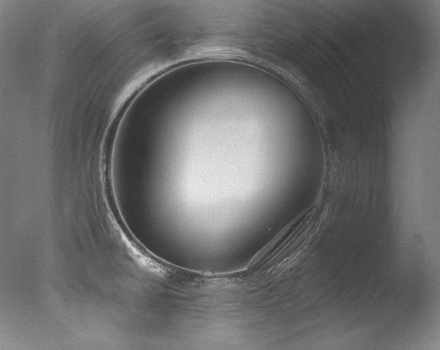 X0000077371430200610201337