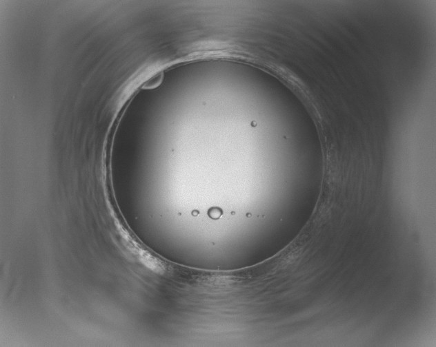 X0000077371431200610201337