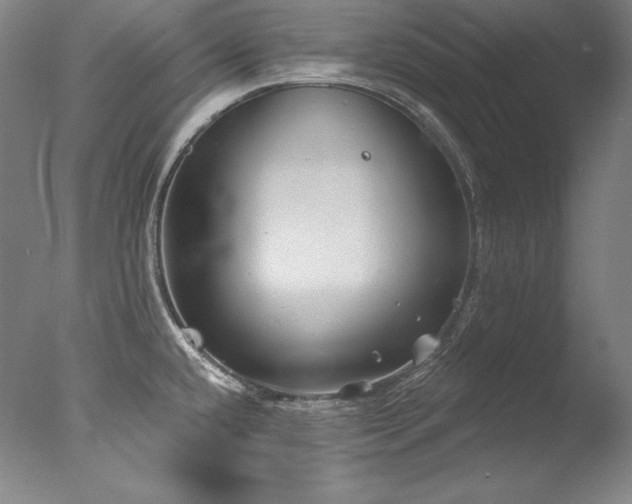 X0000077371432200610201337