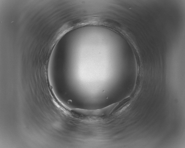 X0000077371433200610201337