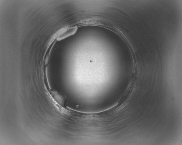 X0000077371434200610201337