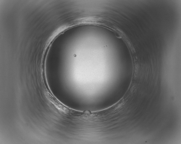 X0000077371435200610201337