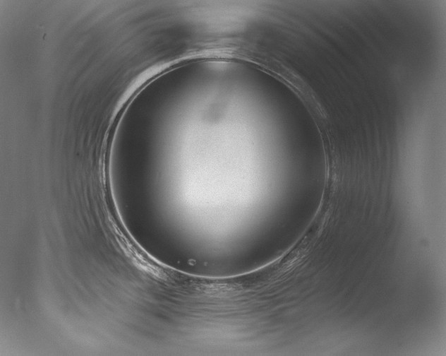 X0000077371436200610201337