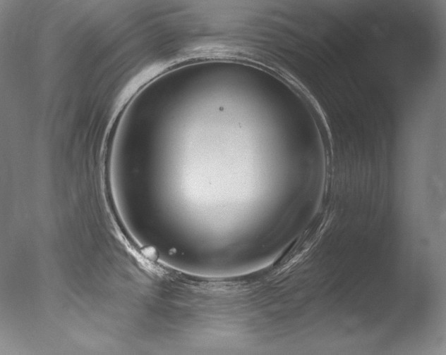 X0000077371437200610201337