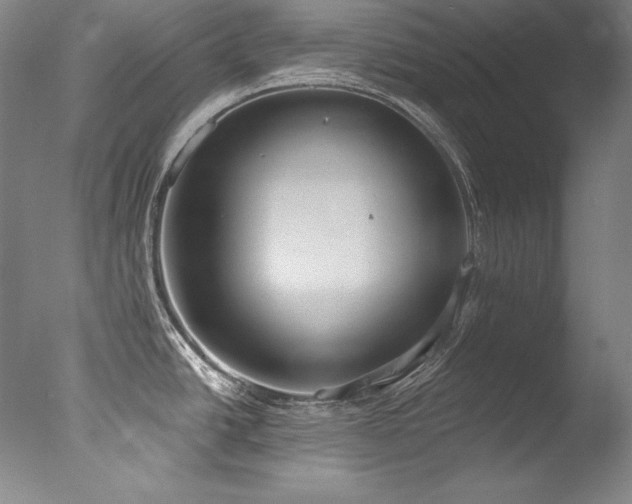 X0000077371438200610201337