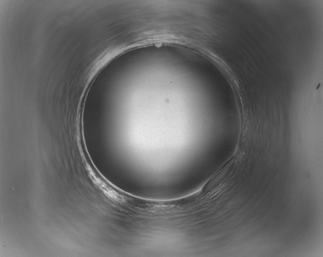 X0000077371439200610201337