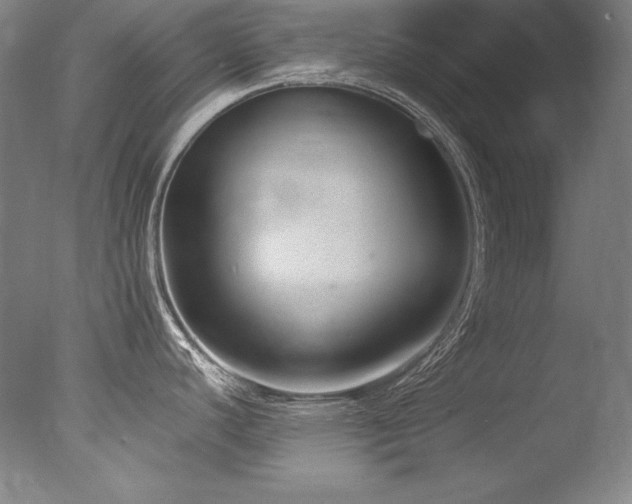 X0000077371440200610201337