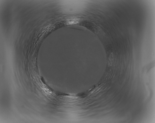 X0000077371441200610201336