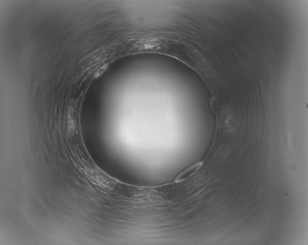 X0000077371442200610201336