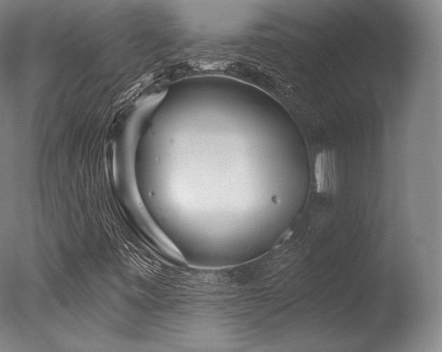 X0000077371443200610201336