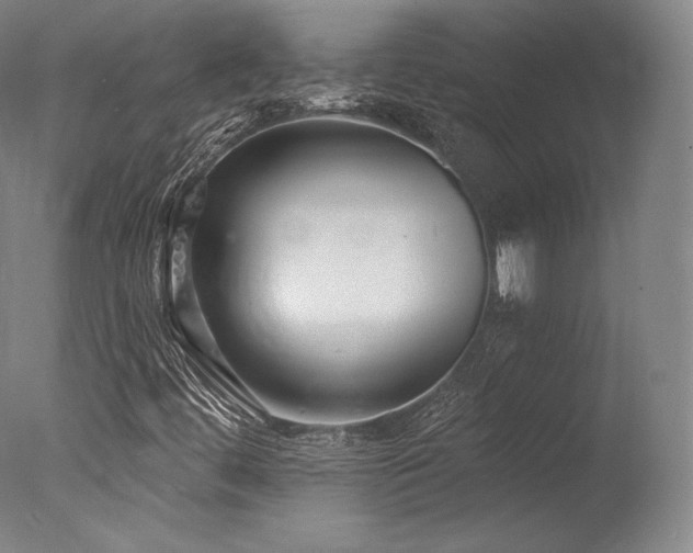 X0000077371444200610201336