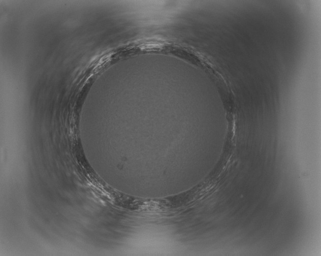 X0000077371445200610201336