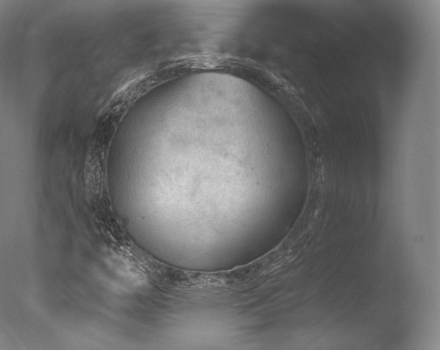 X0000077371446200610201336