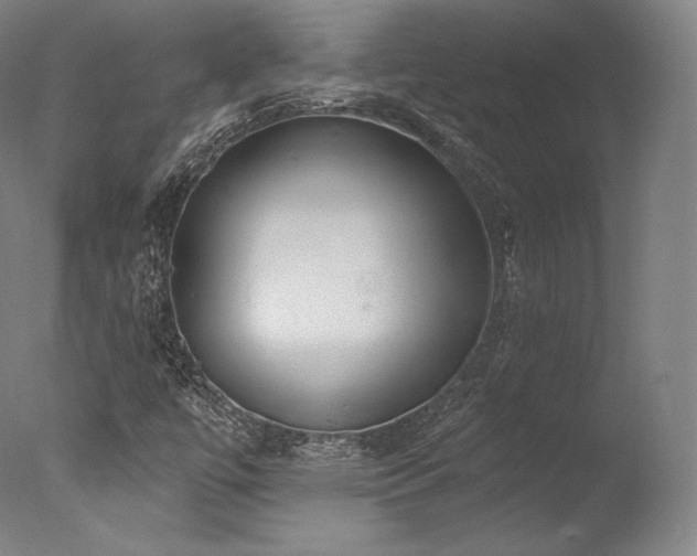 X0000077371447200610201336