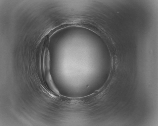 X0000077371449200610201336