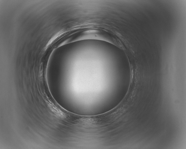 X0000077371450200610201336