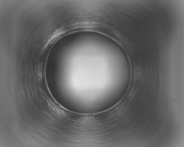 X0000077371451200610201336