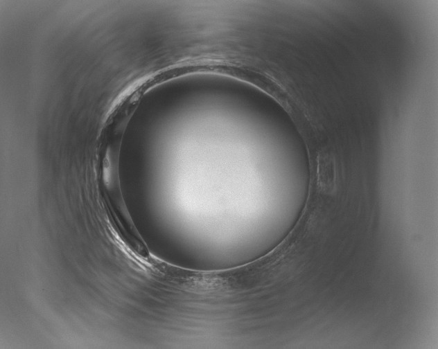 X0000077371452200610201336