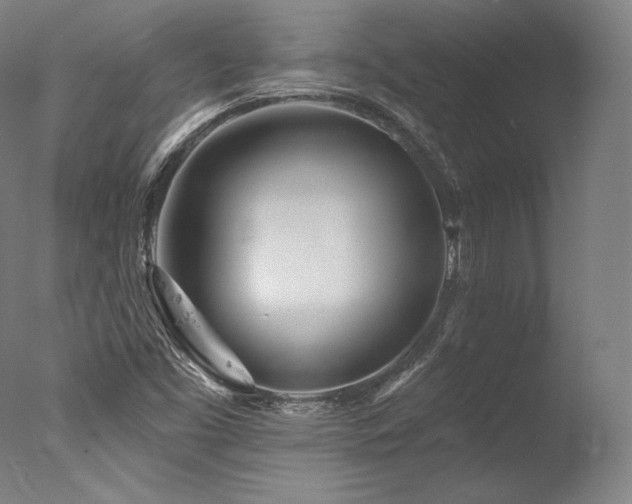 X0000077371453200610201336