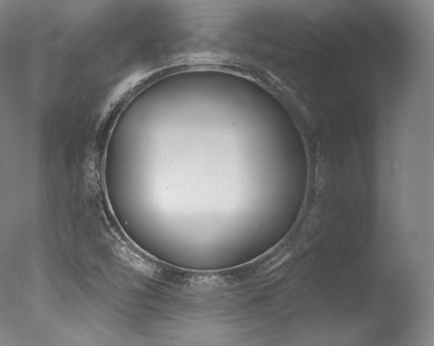 X0000077371454200610201336