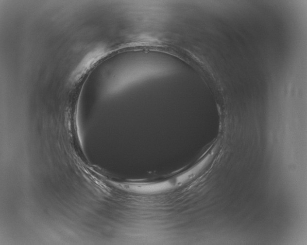 X0000077371455200610201336