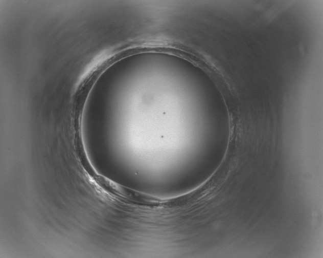 X0000077371456200610201336