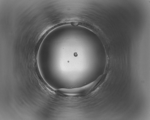 X0000077371457200610201336