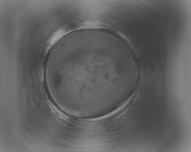 X0000077371459200610201336