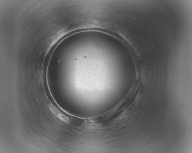 X0000077371460200610201336