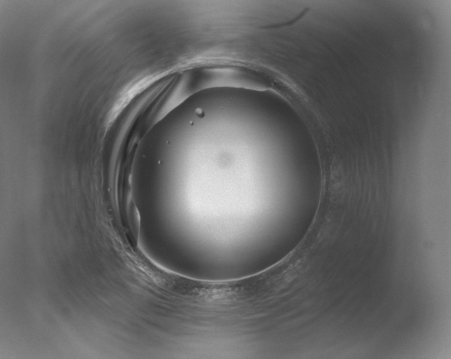 X0000077371461200610201336