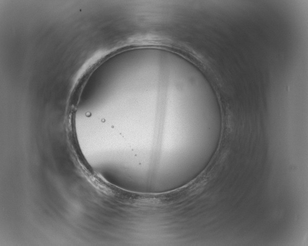 X0000077371462200610201336