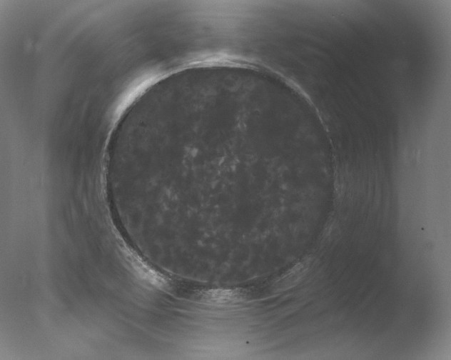 X0000077371463200610201336