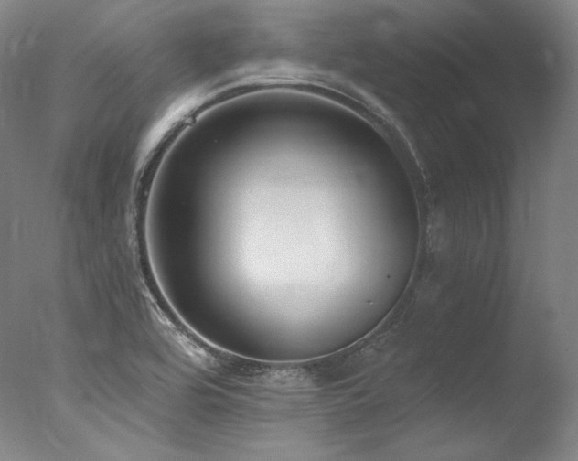 X0000077371464200610201336