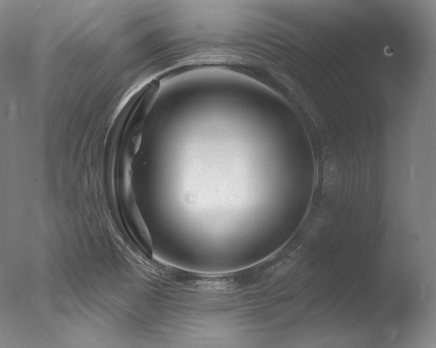 X0000077371465200610201336