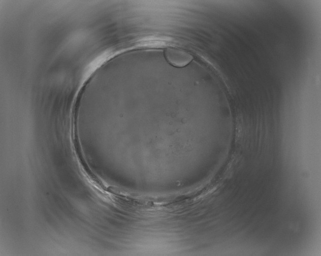 X0000077371467200610201336