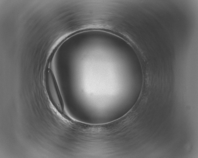 X0000077371468200610201336