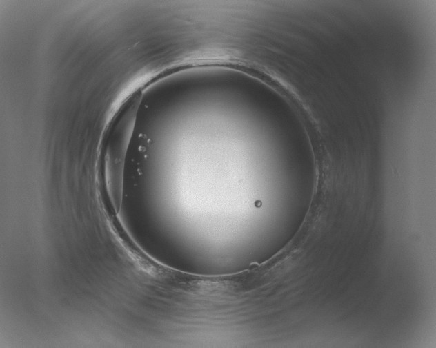 X0000077371469200610201336