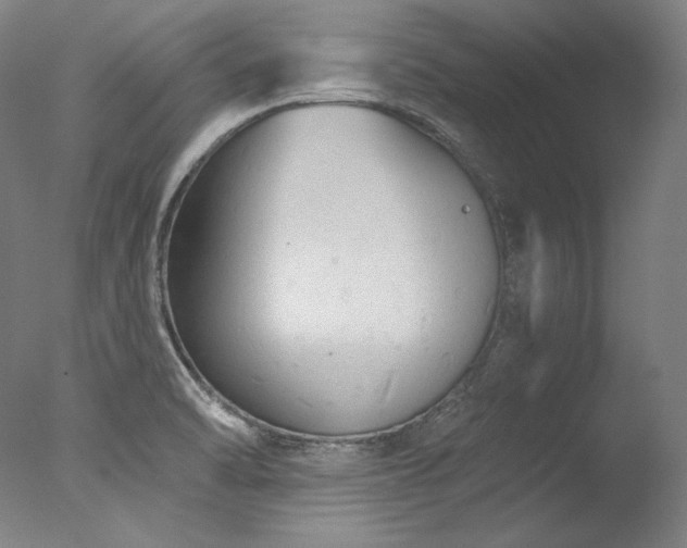 X0000077371470200610201336