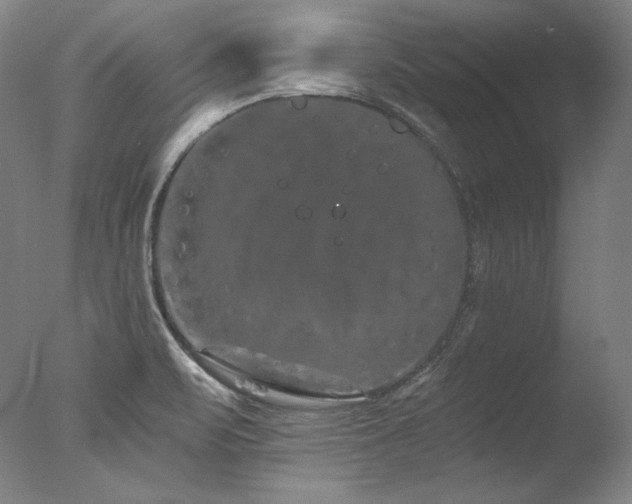 X0000077371471200610201336