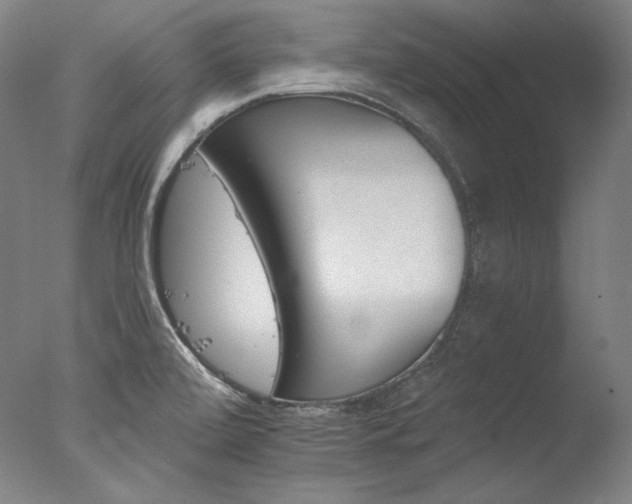 X0000077371472200610201336