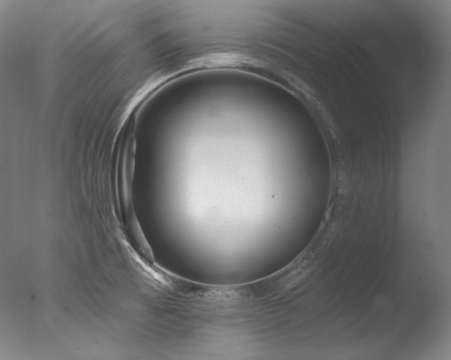 X0000077371473200610201336