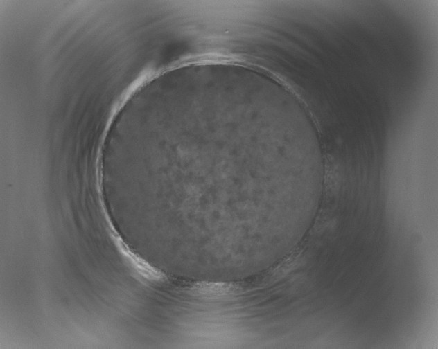 X0000077371474200610201336