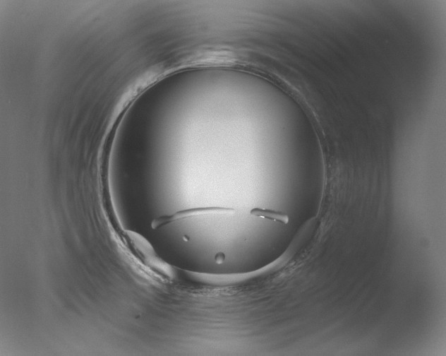 X0000077371475200610201336