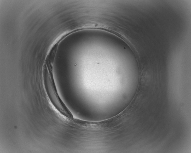 X0000077371476200610201336