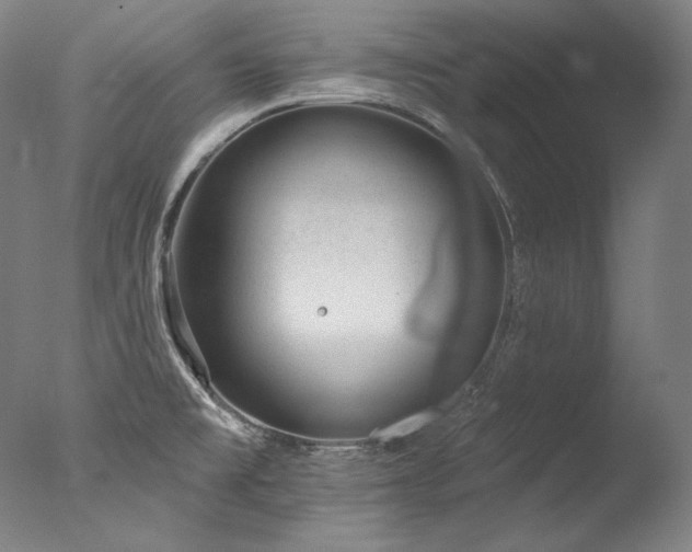 X0000077371477200610201336