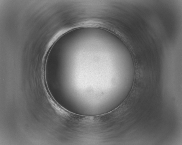 X0000077371478200610201336