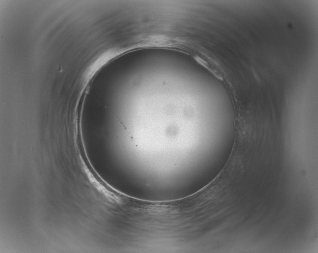 X0000077371479200610201336