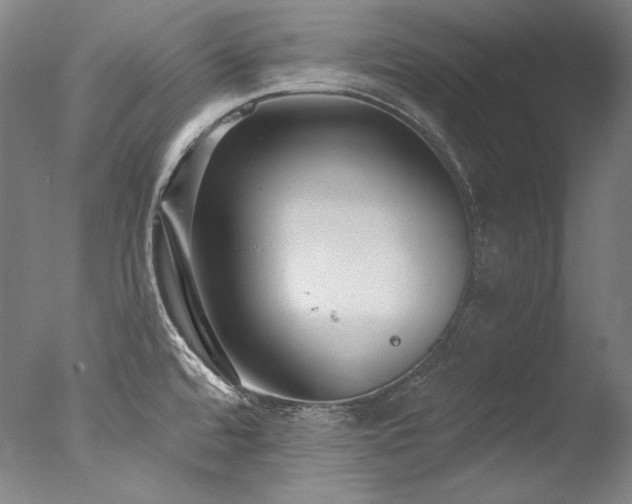 X0000077371480200610201336