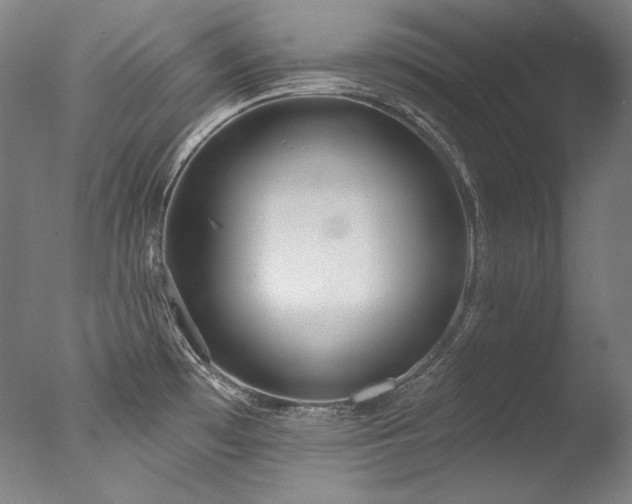 X0000077371481200610201336